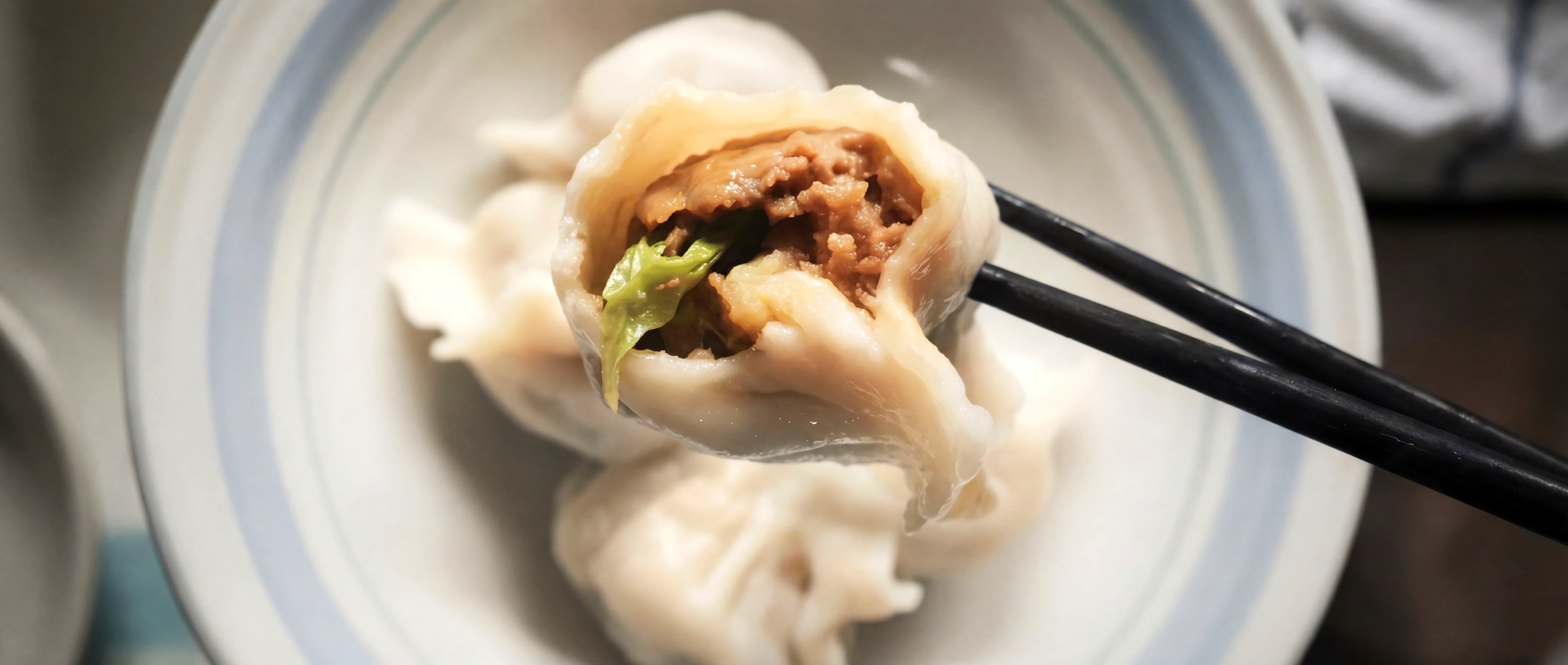 Dumpling in white blue bowl